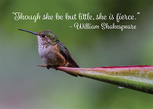 Little but Fierce Hummingbird Motivational Birthday Card