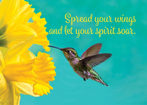 Spread Your Wings Hummingbird Birthday Card