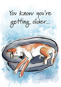 You're a Little Older Dog Birthday Card