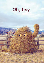 Oh Hay! Blank Card