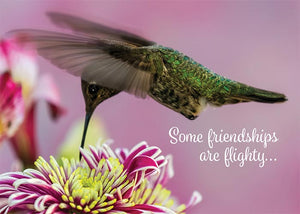 Some Friendships are Flighty Hummingbird Friendship Card