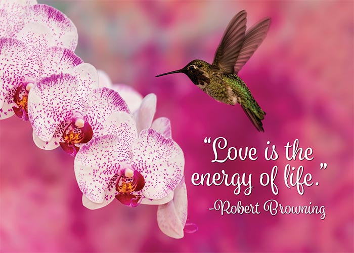 Love is the Energy of Life Motivational Anniversary Card