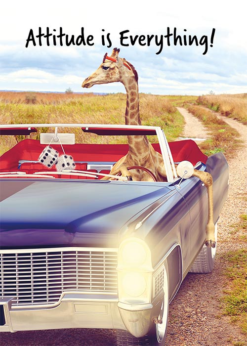 Funny Giraffe Birthday Card for him
