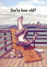 Funny Seal Birthday Card