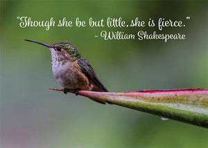 Little but Fierce Hummingbird Motivational Birthday Card