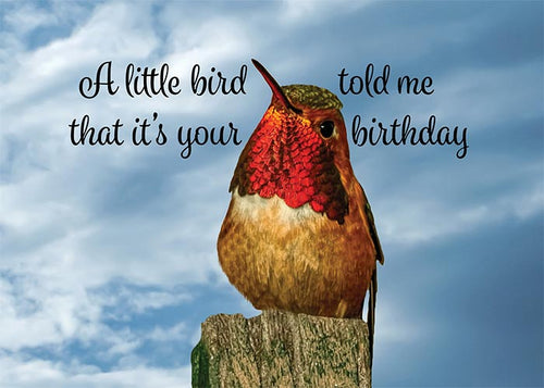 You're So Fly Hummingbird Birthday Card