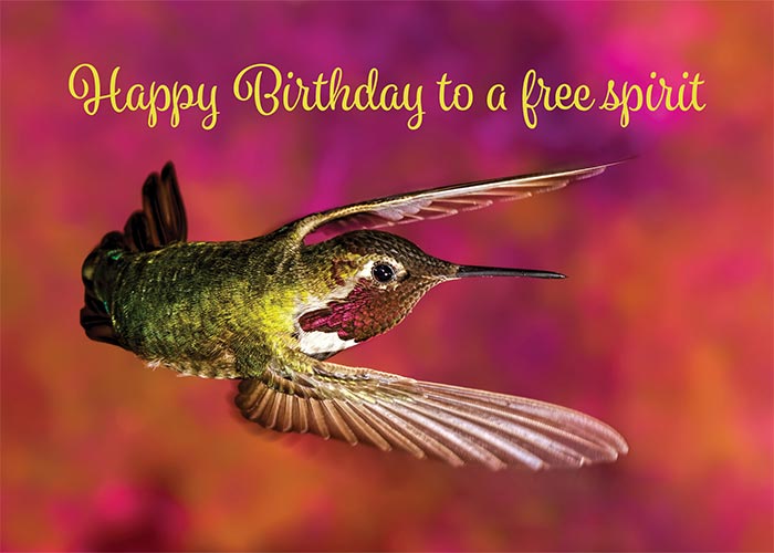 Free Spirit Hummingbird Birthday Card