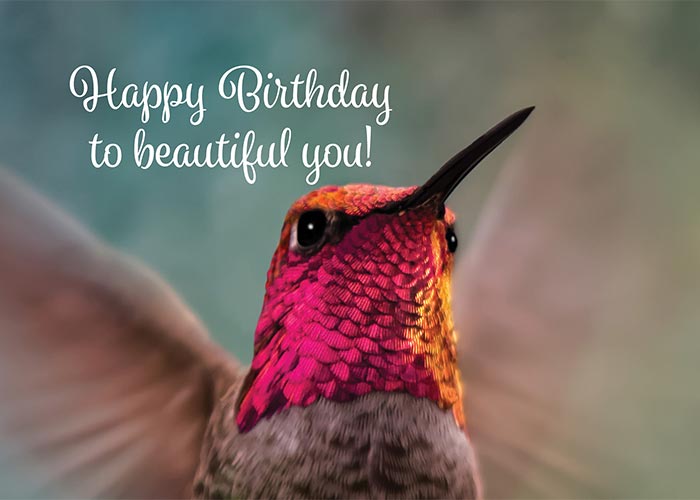 Beautiful You Hummingbird Birthday Card