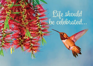Life Should Be Celebrated Hummingbird Birthday Card