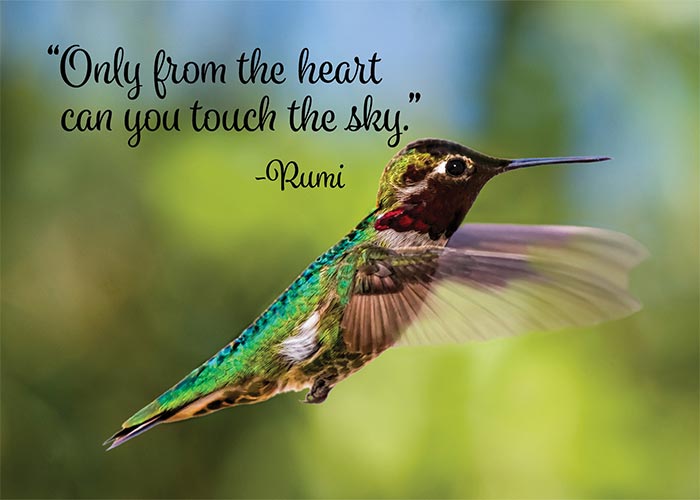 Touch the Sky Hummingbird Birthday Card