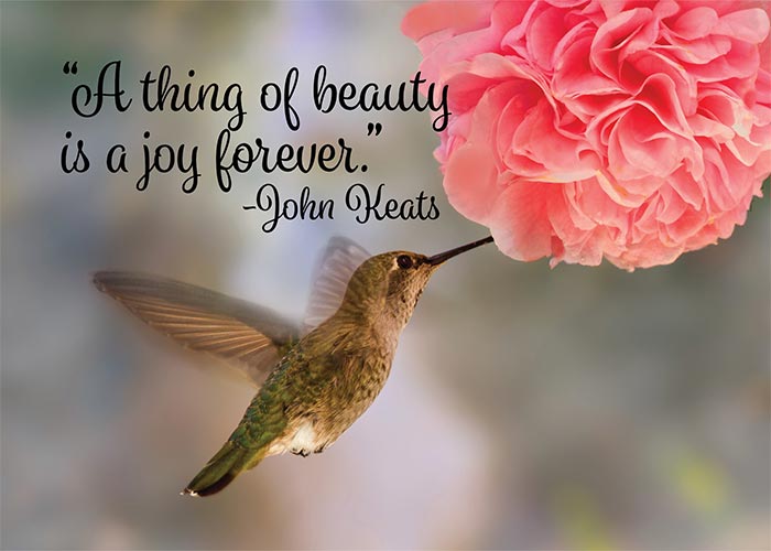 A Thing of Beauty Hummingbird Birthday Card