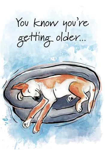 You're a Little Older Dog Birthday Card