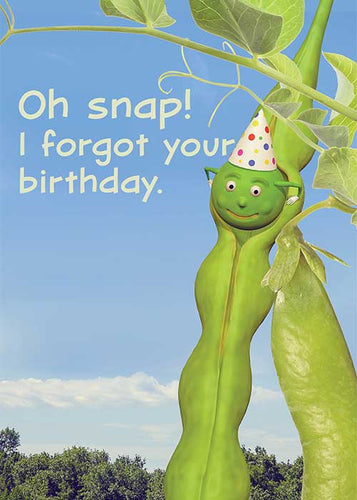 Oh Snap! I Forgot Your Birthday! Belated Birthday Card
