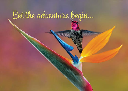 Let the Adventure Begin Hummingbird Congratulations Card