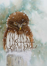 Life is Hard Owl Friendship Card