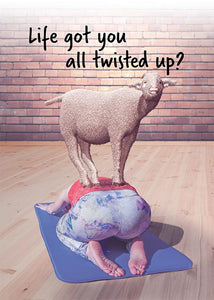 Funny Sheep Friendship Card