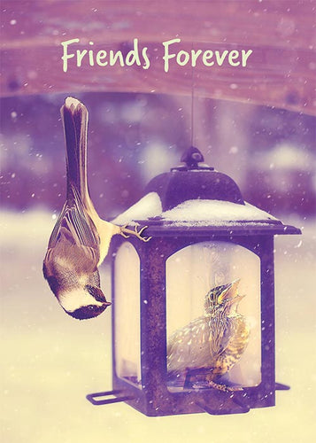 Friends Forever Bird Friendship Card