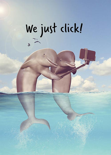 We just click! Funny Dolphin Friendship Card