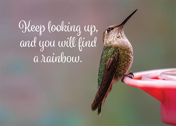 Keep Looking Up Hummingbird Card