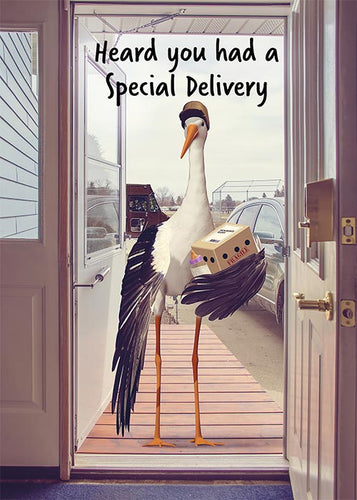 Funny Stork Newborn Card