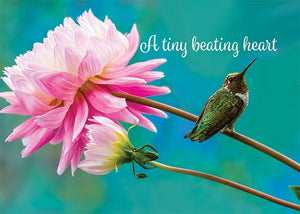 A Tiny Beating Heart Hummingbird Newborn Card