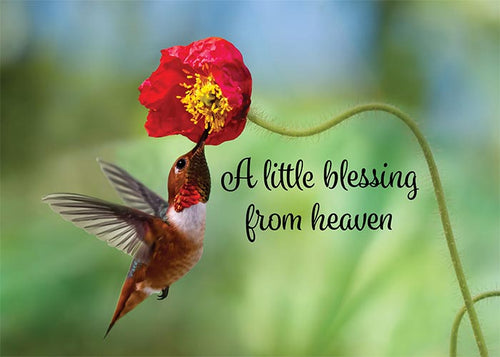 A Little Blessing Hummingbird Newborn Greeting Card