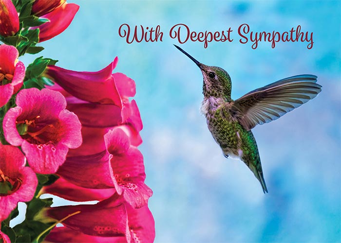 With Deepest Sympathy Hummingbird Sympathy Card – St. Thomas