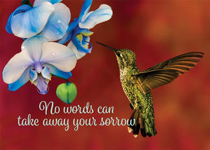 No Words Can Take Away Your Sorrow Hummingbird Sympathy Card
