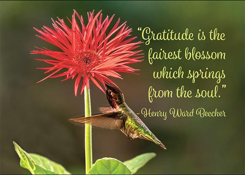 Gratitude is the Fairest Blossom Thank You Card