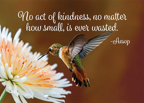 No Act of Kindness is Wasted Hummingbird Thank You Card